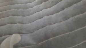 Распаковка - Настольная лампа Евросвет Elara TL90220