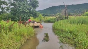 Приехали помочь