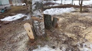 Если надо дерево спилить, то +7(905)602-48-88