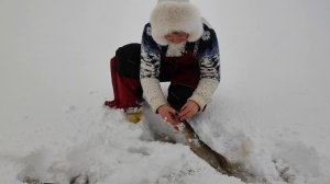 щуки пришли на обед. Флажки горят, не успеваем бегать!