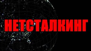 Что такое Нетсталкинг? | перезалив FlynnFlyTaggart