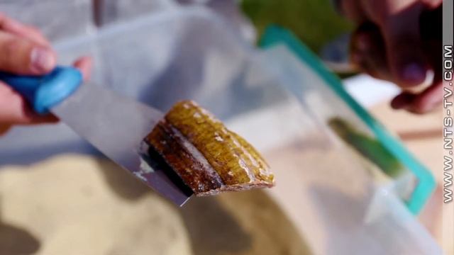 «Херсонес: музей со служебного входа. Экскурсоводы: добро пожаловать в Херсонес!» смотреть онлайн