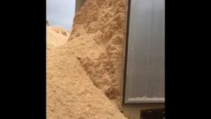 Щеповоз STAS в работе - процесс разгрузки опилок