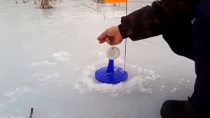 Ловля щуки на жерлицу. Ловля щуки зимой