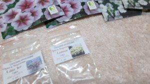 Обзор семян АМПЕЛЬНОЙ Петунии.|Лучшие сорта  петунии  для подвесных кашпо.|ПЫШНЫЕ сорта петунии 202