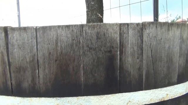 Snappers @ Zucker 2016 смотреть онлайн