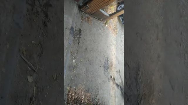 бензонасос в bmw e39 miles, по чему не надо покупать дешовые бензонасосы смотреть онлайн