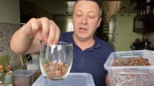ПЕРЕСАДКА ОРХИДЕЙ в стекло, орхидеи в закрытой системе в ОРГАНИКЕ
