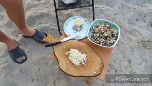 Отдых на море.Готовим рапаны.