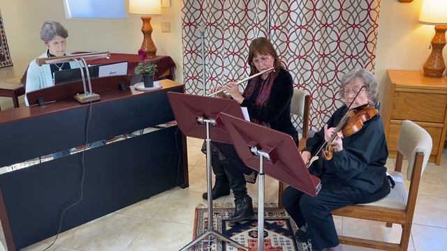 Classy Bach Trio perform JS Bach Concerto for Two Violins in Dmi BWV 1043