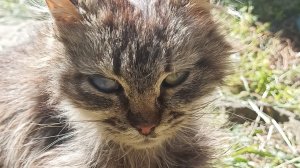 ИГРАЕМ НА Wet Wix