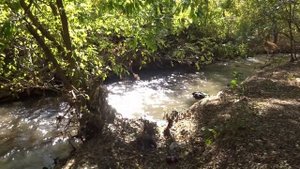 Крым.  Река. Салгир