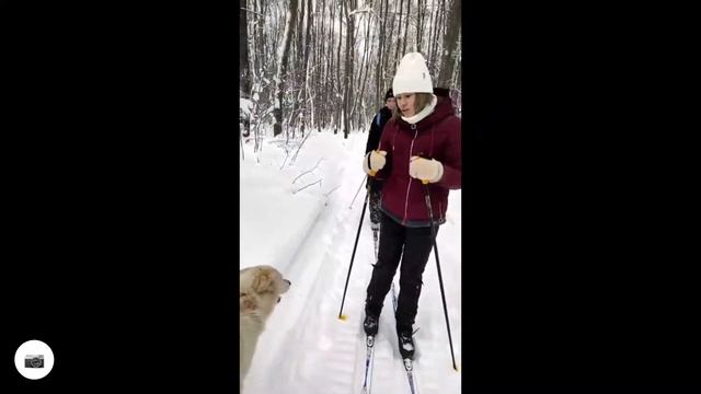 Лыжный маршрут в Национальном парке "Башкирия" 2022 г. смотреть онлайн