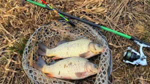 ДУШЕВНАЯ РЫБАЛКА На поплавочную удочку САДОК ТРЕЩИТ ОТ РЫБЫ Ловля весной