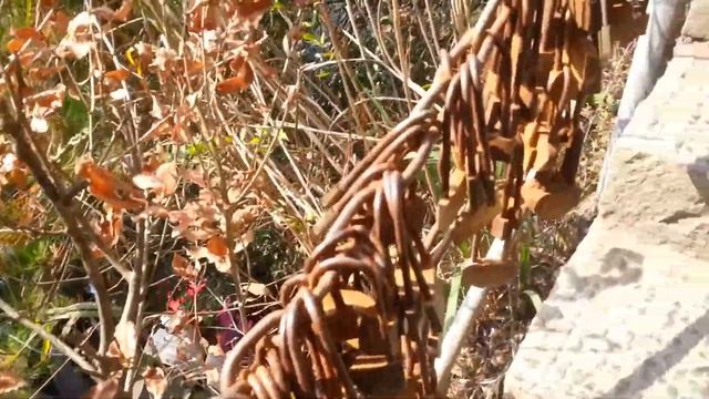 Красота в горах Аватар в Китае China Avatar смотреть онлайн