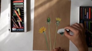 Рисуем одуванчики сухой пастелью на крафтовой бумаге. Пленэр. Рисуем цветы пастелью.