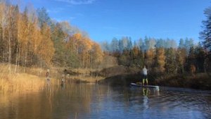 Сплав по реке Медведица в Тверской области на SUP бордах