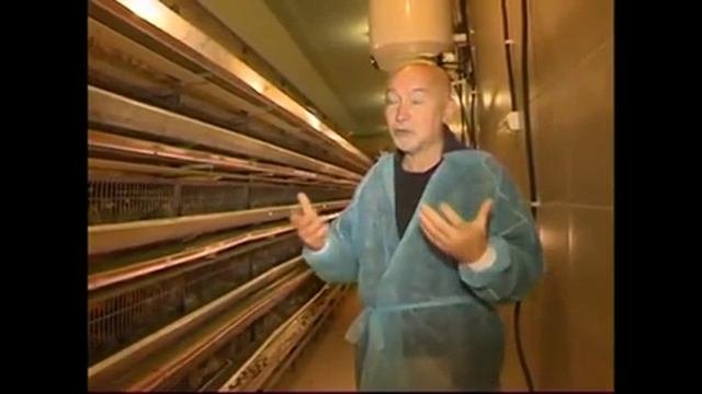 Скрипач на ферме. Скрипичный мастер с мировым именем переехал в глушь ради коз и перепелок