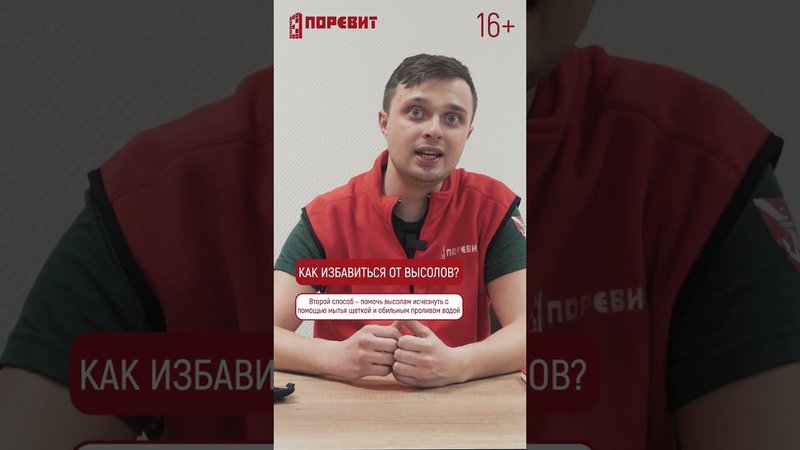 Как убрать высолы с тротуарной плитки? 2 совет. #shorts