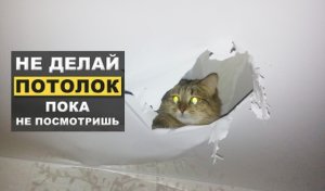 Натяжные потолки или гипсокартон? Сравниваем что лучше, не покупай пока не посмотришь!