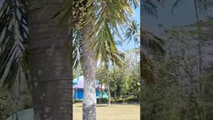 Прогулка по отелю Duangjitt Resort & Spa 4*