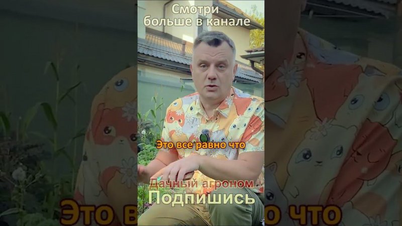 Удобрять сидераты? СЛИШКОМ ЖИРНО