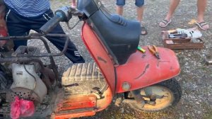 сельские будни