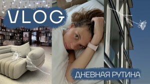 Дневная рутина \\ Спорт \\ Новая доставка в Дубае