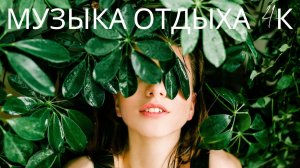 Музыка отдыха. Впечатляющая природа. 4к видео