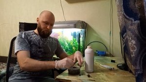 Корневая подкормка аквариумных растений