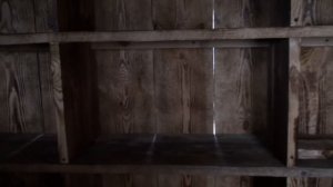 Как строится моя новая голубятня