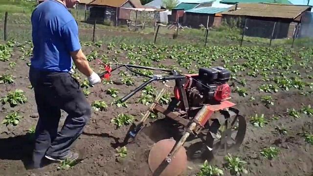 Дисковый окучник к мотоблоку смотреть онлайн