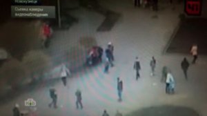 В мире животных. Разъяренный питбуль покалечил катавшегося на пони школьника