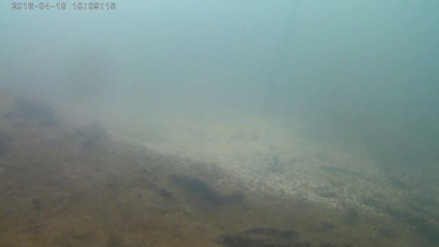 тест недорогой экшн камеры под водой. зимняя подводная съемка ноябрь 2018