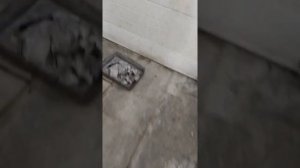 удаление катализатор калдина