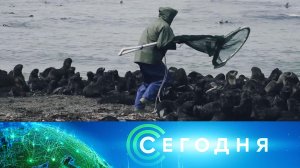 «Сегодня»: 13 сентября 2022 года. 16:00 | Выпуск новостей | Новости НТВ