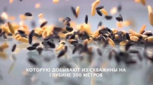 Злаковая Каша "Полное очищение"