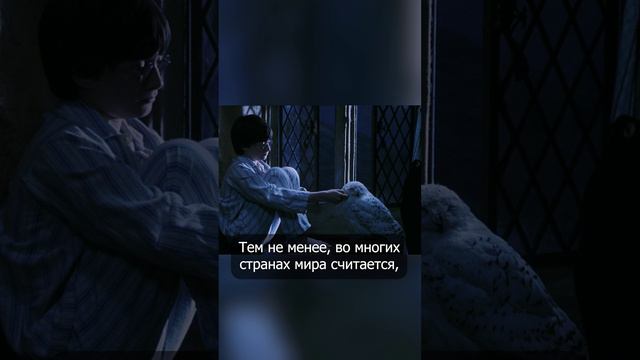 Совы вне мира Гарри Поттера #shorts #гаррипоттер