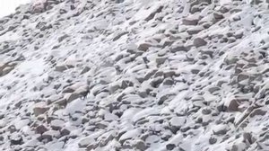 Охота на Памирского козла в Таджикистане