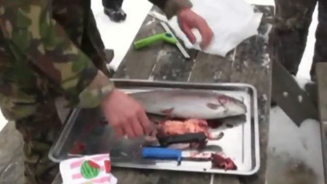 Чистка форели смотреть онлайн