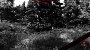 Betrayer - Чёрно белый ужас (ПОГЛЯДИМ) Legal code