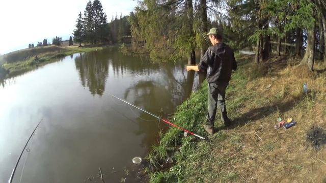 Поплавочная ловля Крупного Серебрянного Карася на Деревенском Пруду. смотреть онлайн