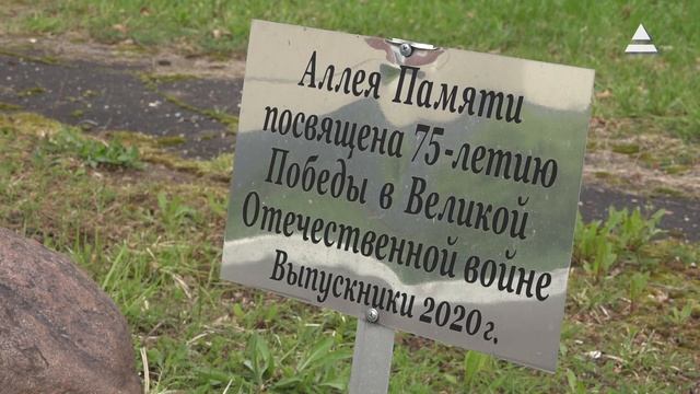 Вахта памяти. Ежегодная поисковая акция
