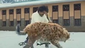 Страшные новые индийский фильм 2024