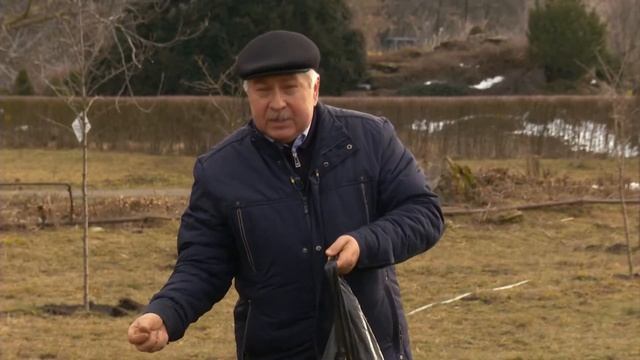 Ботанический сад. Сидеральные культуры. смотреть онлайн