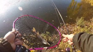 ПОПАВ НА РОЗДАЧУ ЩУКИ|Graphiteleader Corto ux 20gorus-742l-t 2.24м 0.8-10г