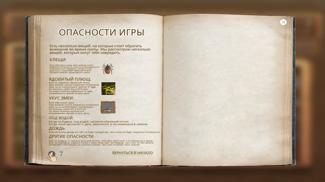 Уровень грибника 3. Умножил очки опыта x2 - Morels: The Hunt #6