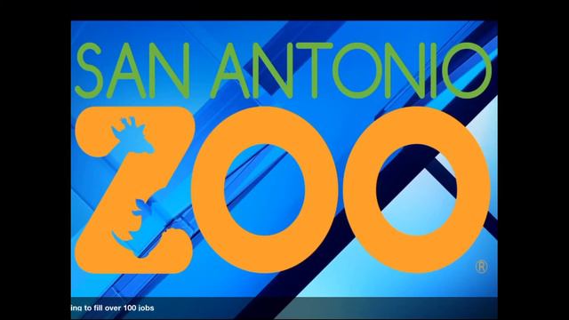 San Antonio Zoo Soundtrack ~ Zanzibar: music by Kevin MacLeod смотреть онлайн