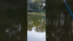 рыбалка на тойме ,продолжение..