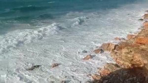 Севастополь После шторма века